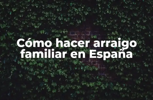 Cómo hacer arraigo familiar en España