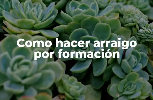 Como Hacer Arraigo por Formación
