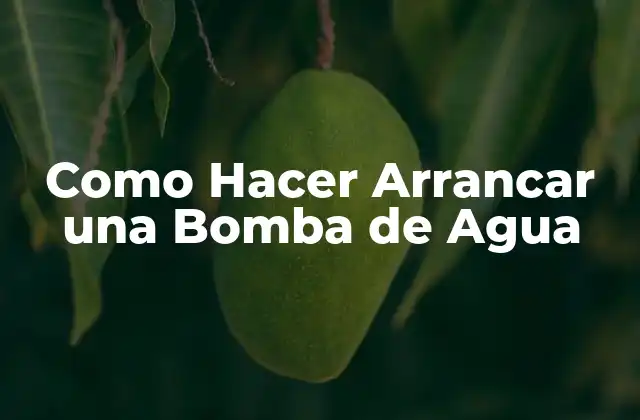 Como Hacer Arrancar una Bomba de Agua