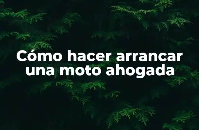 Cómo Hacer Arrancar una Moto Ahogada