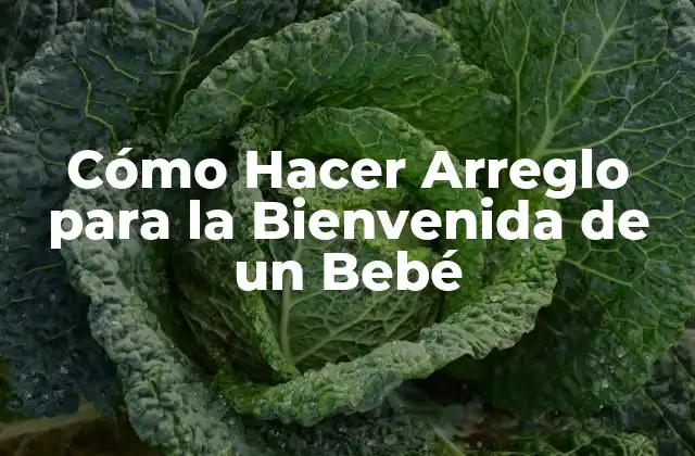 Cómo Hacer Arreglo para la Bienvenida de un Bebé