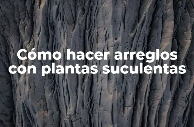 Cómo Hacer Arreglos con Plantas Suculentas