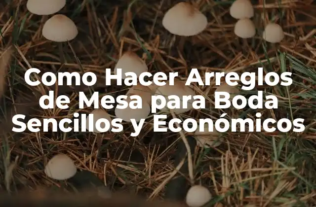 Como Hacer Arreglos de Mesa para Boda Sencillos y Económicos