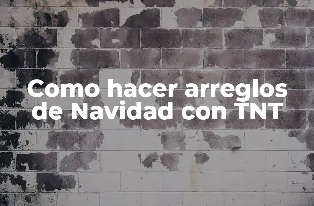 Como Hacer Arreglos de Navidad con Tnt
