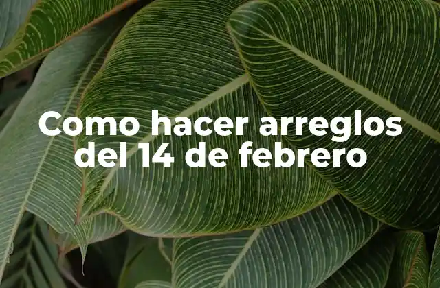 Como Hacer Arreglos Del 14 de Febrero
