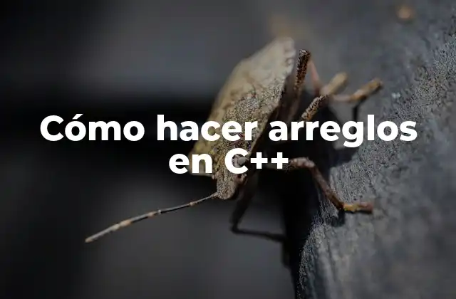 Cómo Hacer Arreglos en C++