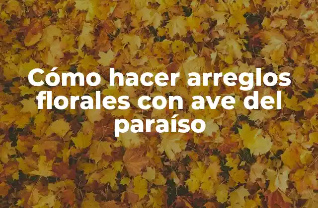 Cómo Hacer Arreglos Florales con Ave Del Paraíso