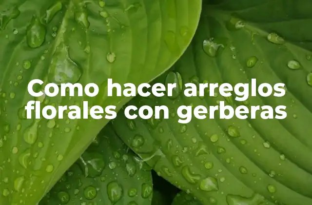 Como Hacer Arreglos Florales con Gerberas 2 Como hacer arreglos florales con gerberas