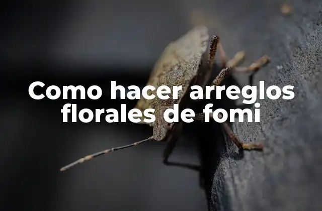 Como Hacer Arreglos Florales de Fomi