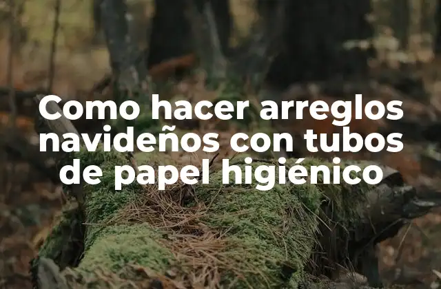 Como Hacer Arreglos Navideños con Tubos de Papel Higiénico