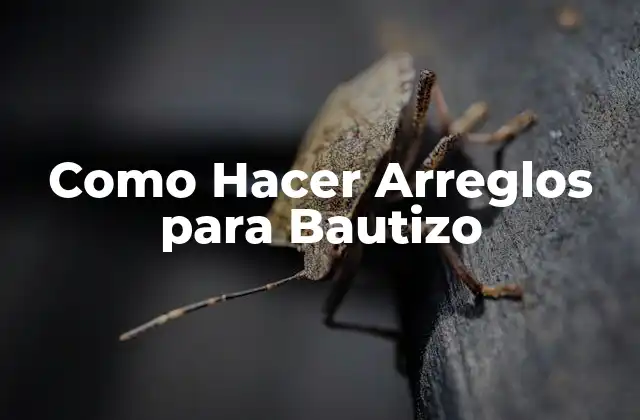 Como Hacer Arreglos para Bautizo