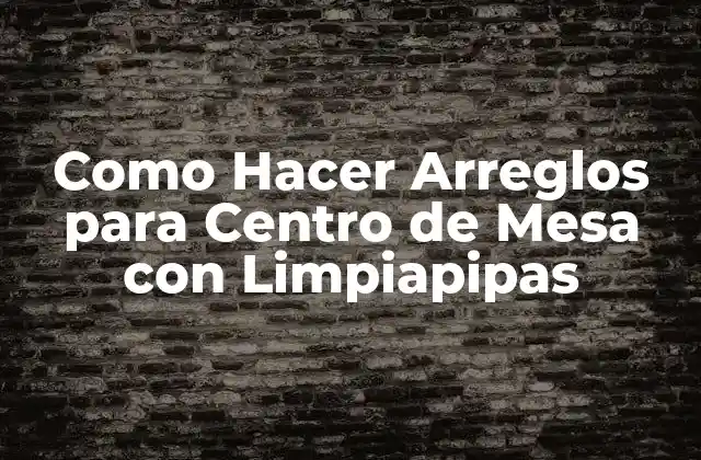 ¿Qué son los Arreglos con Limpiapipas y para qué Sirven?