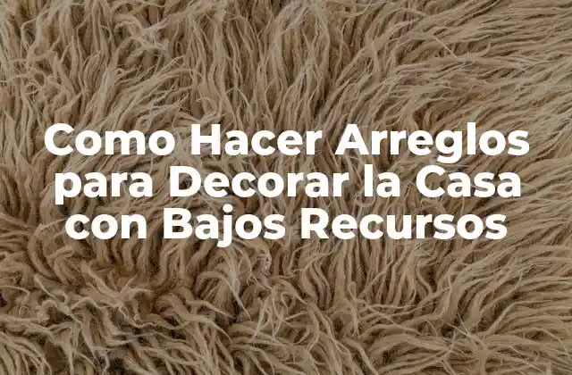 Como Hacer Arreglos para Decorar la Casa con Bajos Recursos