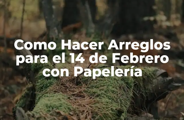 Como Hacer Arreglos para el 14 de Febrero con Papelería