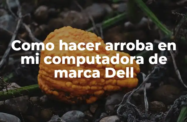 Como Hacer Arroba en Mi Computadora de Marca Dell