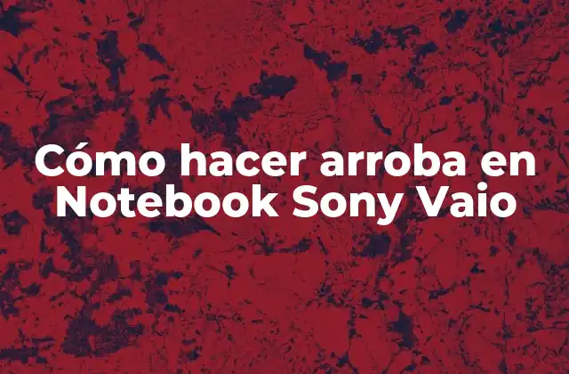 Cómo Hacer Arroba en Notebook Sony Vaio