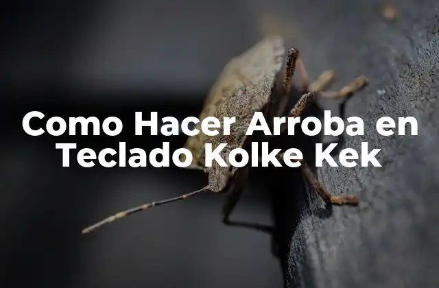 Como Hacer Arroba en Teclado Kolke Kek