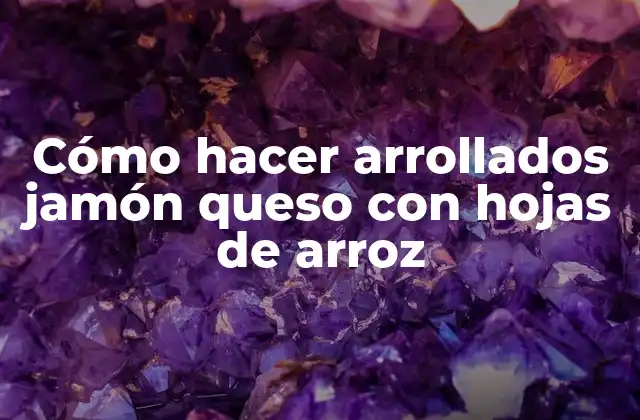 Cómo Hacer Arrollados Jamón Queso con Hojas de Arroz 2 Cómo hacer arrollados jamón queso con hojas de arroz