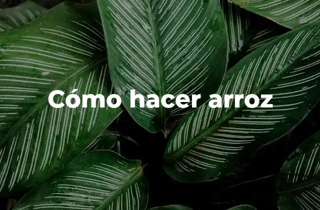 ¿Qué es el arroz y para qué sirve?