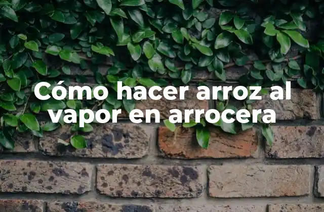 Cómo Hacer Arroz Al Vapor en Arrocera