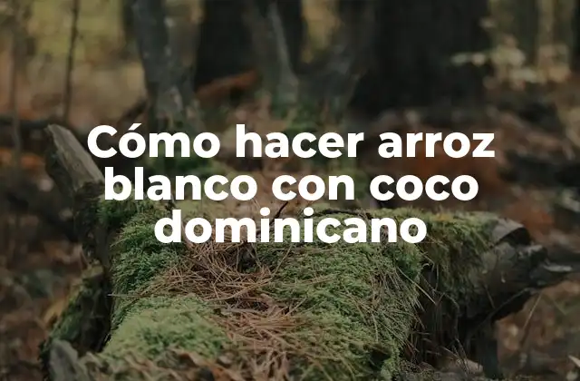 Cómo Hacer Arroz Blanco con Coco Dominicano