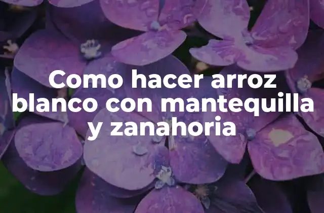 Como Hacer Arroz Blanco con Mantequilla y Zanahoria