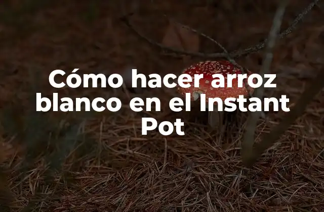 Cómo Hacer Arroz Blanco en el Instant Pot