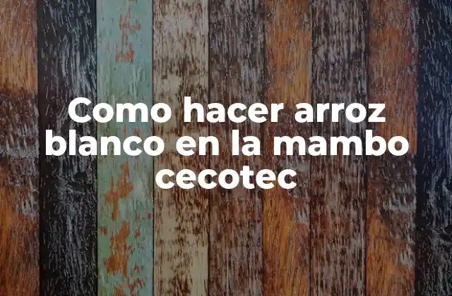 Como Hacer Arroz Blanco en la Mambo Cecotec 2 Como hacer arroz blanco en la mambo cecotec