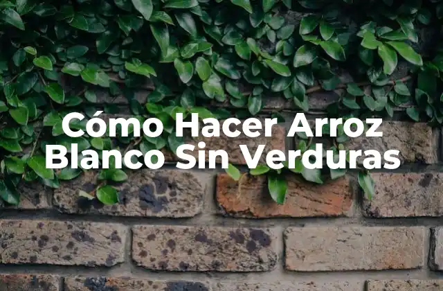 Cómo Hacer Arroz Blanco sin Verduras