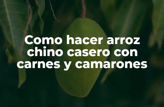 Como Hacer Arroz Chino Casero con Carnes y Camarones