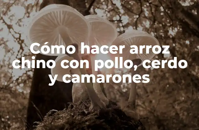 Cómo Hacer Arroz Chino con Pollo, Cerdo y Camarones