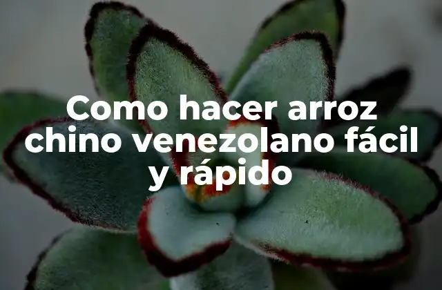 Como Hacer Arroz Chino Venezolano Fácil y Rápido