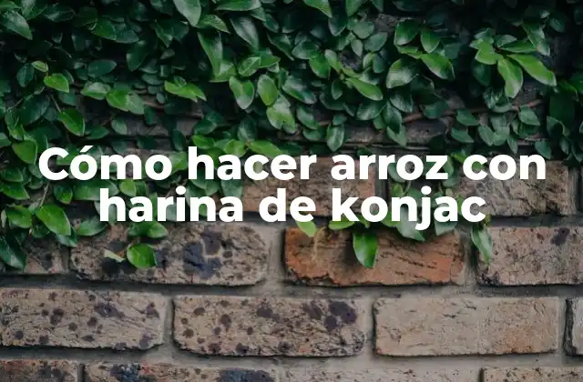 Cómo Hacer Arroz con Harina de Konjac
