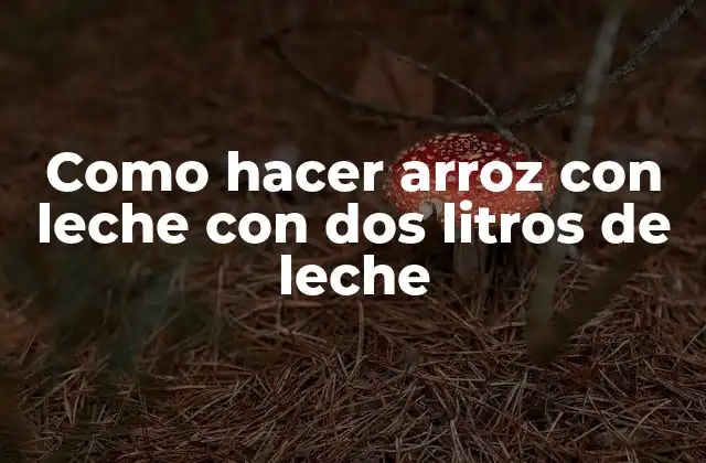 Como Hacer Arroz con Leche con Dos Litros de Leche