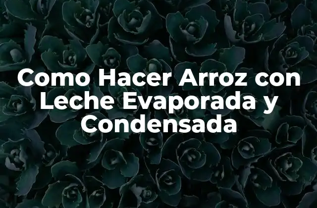 ¿Qué es Arroz con Leche Evaporada y Condensada?