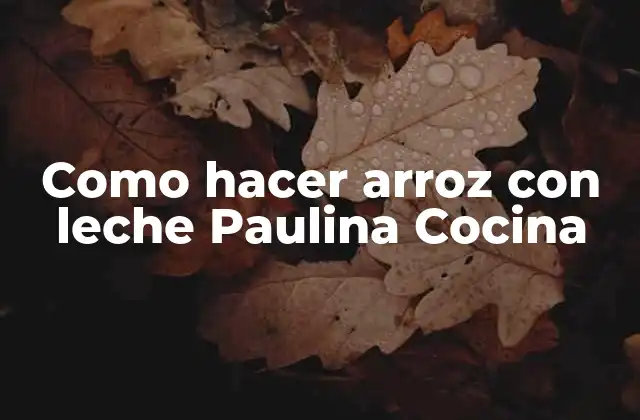 Como Hacer Arroz con Leche Paulina Cocina