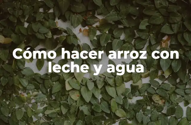 Cómo Hacer Arroz con Leche y Agua