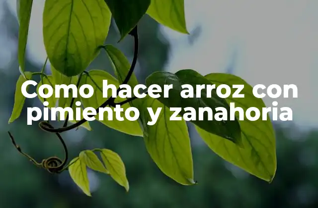 Como Hacer Arroz con Pimiento y Zanahoria