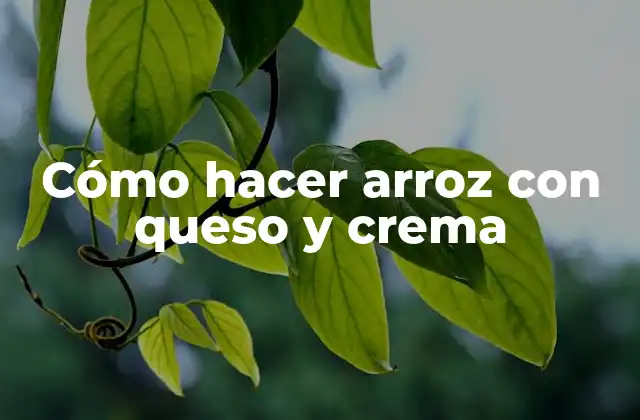 Cómo Hacer Arroz con Queso y Crema 2 Cómo hacer arroz con queso y crema