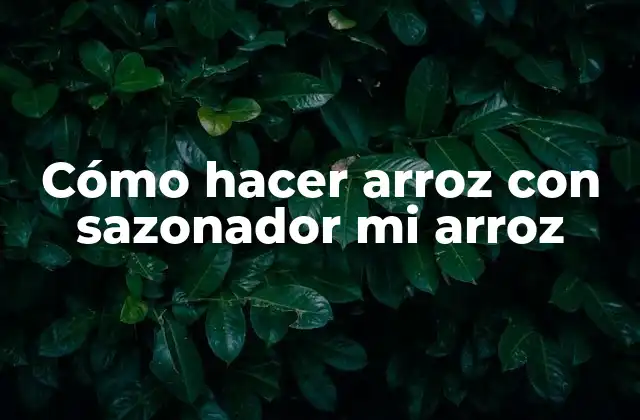 Cómo Hacer Arroz con Sazonador Mi Arroz