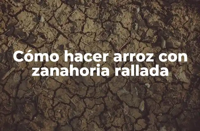 Cómo Hacer Arroz con Zanahoria Rallada