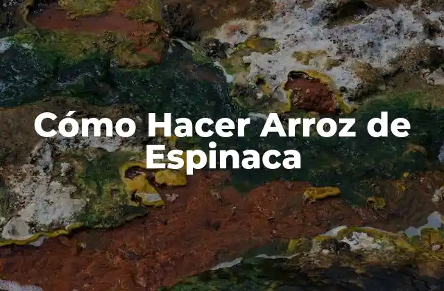 Cómo Hacer Arroz de Espinaca