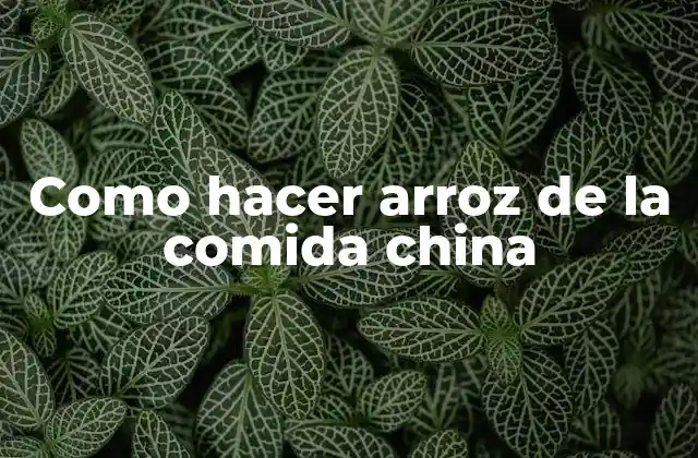 Como Hacer Arroz de la Comida China