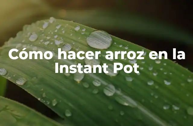 Cómo Hacer Arroz en la Instant Pot