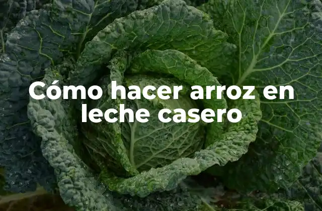 Cómo Hacer Arroz en Leche Casero