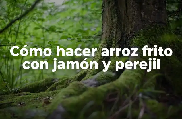 Cómo Hacer Arroz Frito con Jamón y Perejil