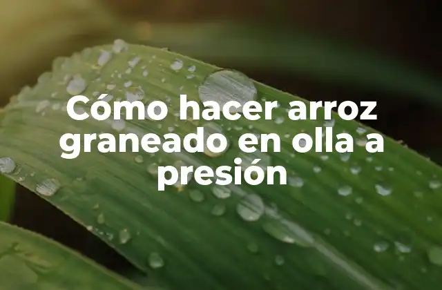 Cómo Hacer Arroz Graneado en Olla a Presión