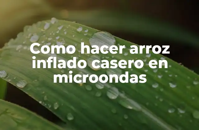 Como Hacer Arroz Inflado Casero en Microondas