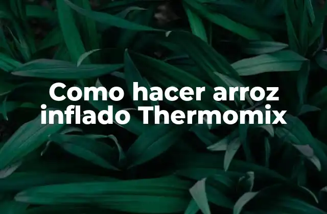 Como Hacer Arroz Inflado Thermomix