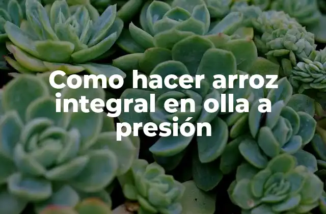 Como Hacer Arroz Integral en Olla a Presión